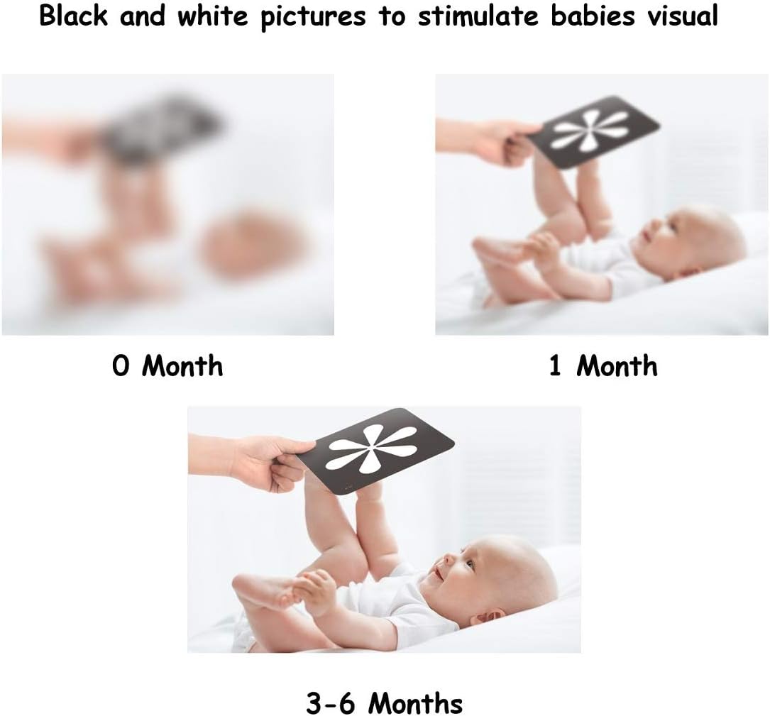 Baby Black White Flash Cards TYMY0105