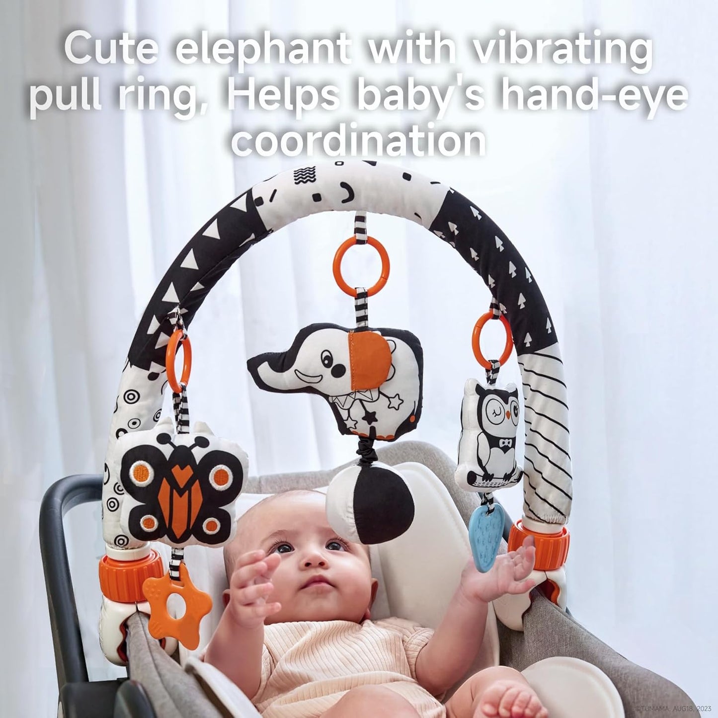 Baby Sensory Hanging Rattle Arch Toy TYMY0050